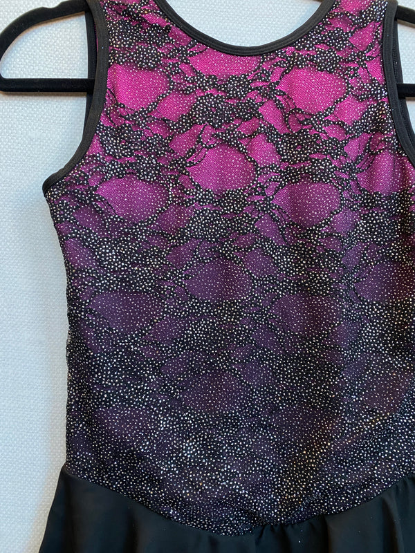 Jerry's Ready to Ship Sangria Slide #51 Skating Dress