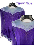 Solitaire Ready to Ship Shaded Sweetheart Beaded Skating Dress - Damson Plum