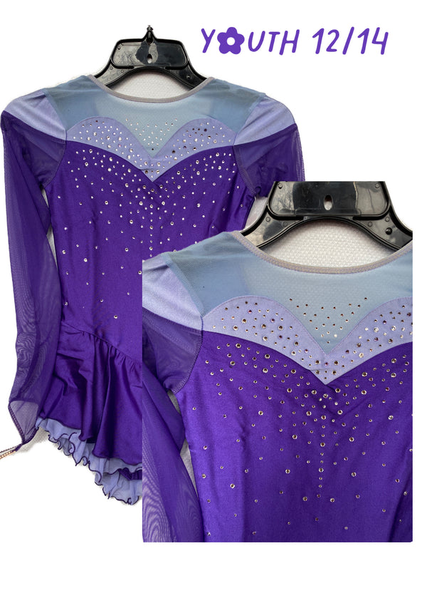 Solitaire Ready to Ship Shaded Sweetheart Beaded Skating Dress - Damson Plum