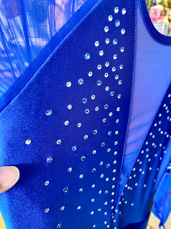 Aurora Ice Ready to Ship Royal Renaissance Beaded Skating Dress