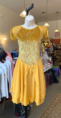 Jerry's Ready to Ship Gold Dances #579 Dance Skating Dress